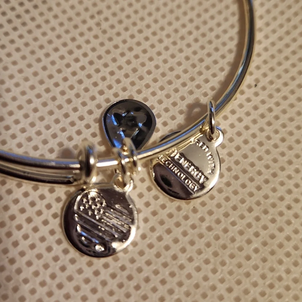 Disney Alex and Ani Bracelet Alice In Wonderland We're All Mad Here 2018 - Picture 3 of 5